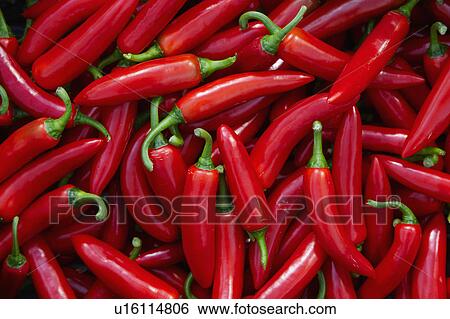 Full Frame Of Red Chilli Peppers View Large Photo Image Stock Photograph - Full Frame Of Red Chilli Peppers. Fotosearch