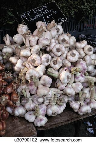 Garlic bulbs at local market, Versailles, France. View Large Photo Image Stock Image - Garlic bulbs at local market, Versailles, France.. Fotosearch