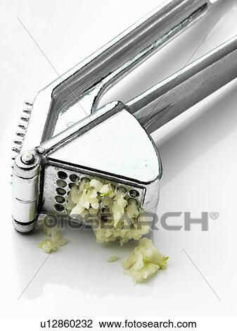Garlic press with garlic squeezing out View Large Photo Image Stock Image - Garlic press with garlic squeezing out. Fotosearch