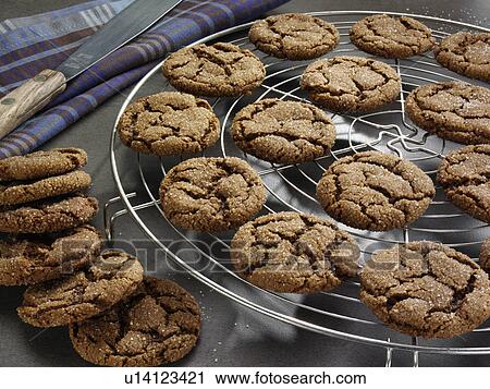 Ginger snappers American biscuits View Large Photo Image Stock Image - Ginger snappers American biscuits. Fotosearch