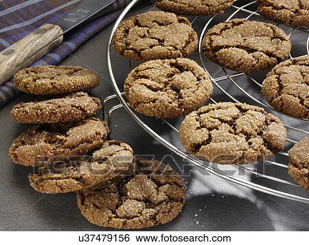 Ginger snappers American biscuits View Large Photo Image Stock Photograph - Ginger snappers American biscuits. Fotosearch