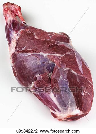 Halal leg of lamb raw meat View Large Photo Image Stock Image - Halal leg of lamb raw meat. Fotosearch