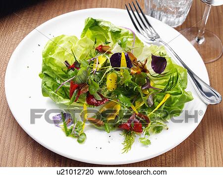 Herb salad View Large Photo Image Stock Image - Herb salad. Fotosearch