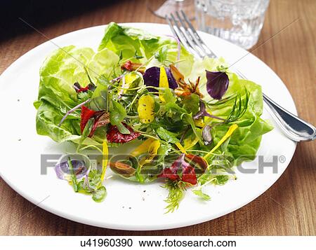 Stock Image - Herb salad. Fotosearch