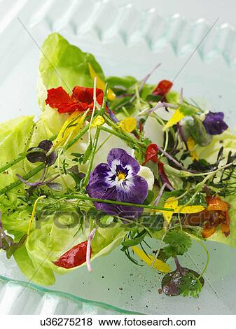Herb salad View Large Photo Image Stock Photo - Herb salad. Fotosearch