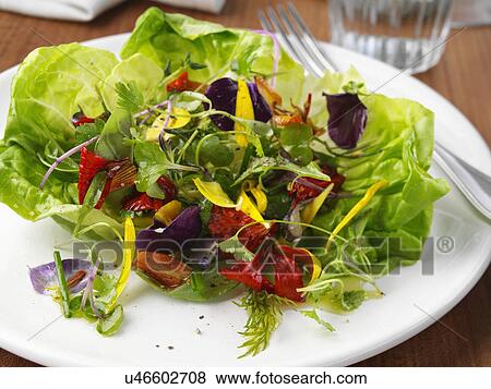 Stock Photo - Herb salad. Fotosearch