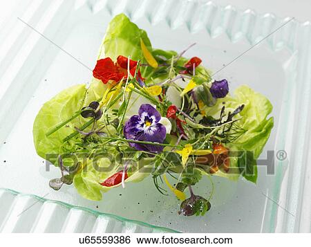 Herb salad View Large Photo Image Stock Photograph - Herb salad. Fotosearch