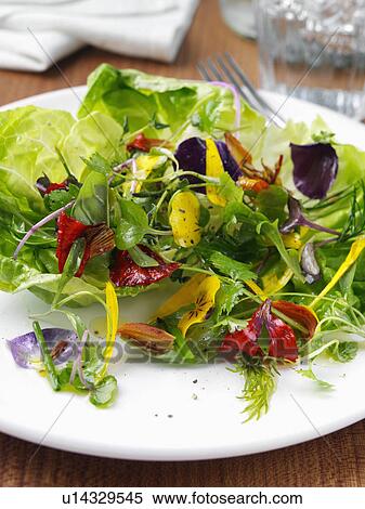 Herb salad View Large Photo Image Stock Photography - Herb salad. Fotosearch