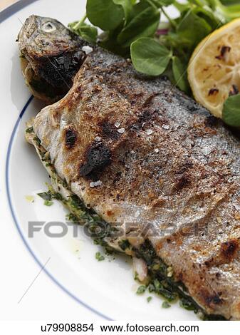 Picture - Individual portion of broiled rainbow trout and salad. Fotosearch