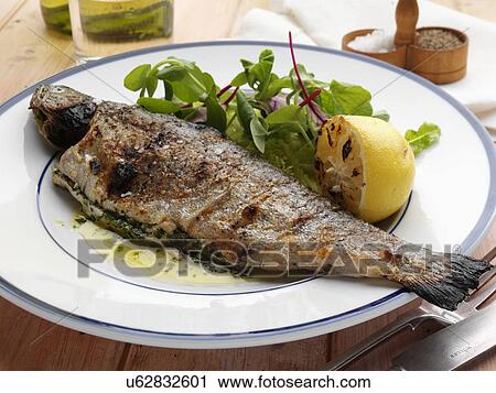 Individual portion of broiled rainbow trout and salad View Large Photo Image Stock Image - Individual portion of broiled rainbow trout and salad. Fotosearch