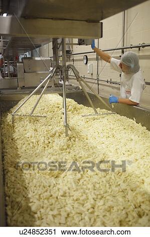 Interior Of Cheese Making Factory With Workers View Large Photo Image Stock Image - Interior Of Cheese Making Factory With Workers. Fotosearch