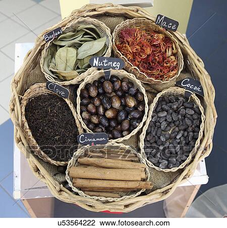 Large Basket With Assorted Caribbean Spices: Nutmeg, Mace, Cinnamon, Cloves, Bay Leaves And Cocoa Beans, Grenada View Large Photo Image Stock Image - Large Basket With Assorted Caribbean Spices: Nutmeg, Mace, Cinnamon, Cloves, Bay Leaves And Cocoa Beans, Grenada. Fotosearch