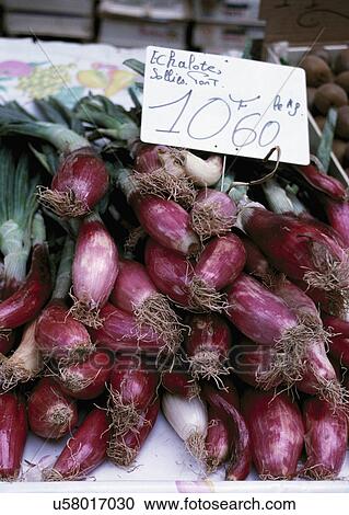 Local market stall, spring onions shallots Toulon, France. View Large Photo Image Stock Image - Local market stall, spring onions shallots Toulon, France.. Fotosearch