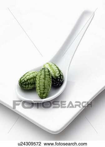 Miniature cucumbers View Large Photo Image Stock Image - Miniature cucumbers. Fotosearch