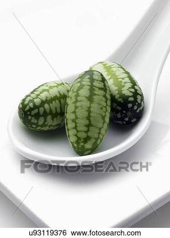 Miniature cucumbers View Large Photo Image Stock Photograph - Miniature cucumbers. Fotosearch