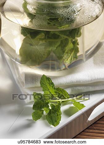 Stock Image - Mint tea. Fotosearch