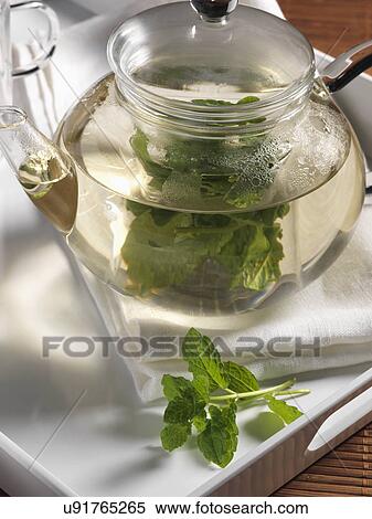 Stock Photography - Mint tea. Fotosearch