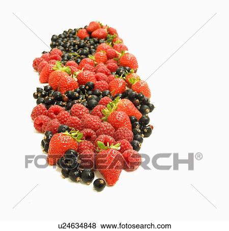 Mixed Summer Berries On White Background View Large Photo Image Stock Photo - Mixed Summer Berries On White Background. Fotosearch