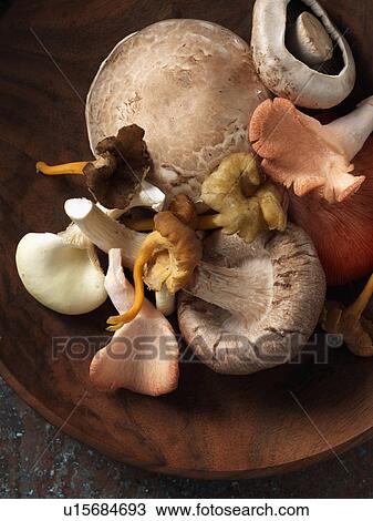 Stock Image - Mushrooms selection Shitaki pink oyster chantarelle field yellow foot. Fotosearch