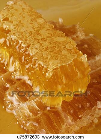 Natural Honeycomb With Honey View Large Photo Image Stock Image - Natural Honeycomb With Honey. Fotosearch