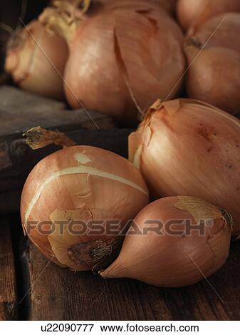 Onions View Large Photo Image Stock Photo - Onions. Fotosearch