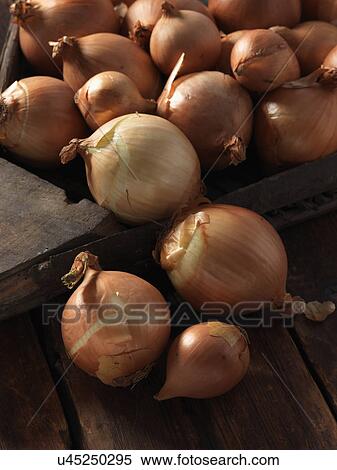 Onions View Large Photo Image Stock Photography - Onions. Fotosearch