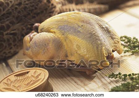 Plucked Pheasant Ready For The Oven View Large Photo Image Stock Image - Plucked Pheasant Ready For The Oven. Fotosearch