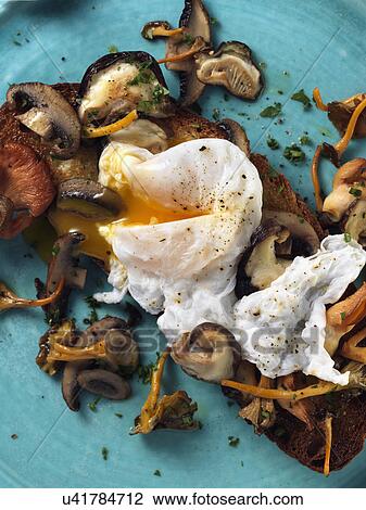 Stock Image - Poached duck egg on a bed of wild mushrooms on a slice of toasted San Francisco sourdough bread. Fotosearch