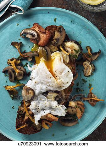Poached duck egg on a bed of wild mushrooms on a slice of toasted San Francisco sourdough bread View Large Photo Image Stock Image - Poached duck egg on a bed of wild mushrooms on a slice of toasted San Francisco sourdough bread. Fotosearch