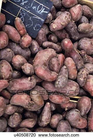 Potatoes at local market, Cavalaire, France. View Large Photo Image Stock Image - Potatoes at local market, Cavalaire, France.. Fotosearch