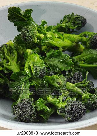 Purple sprouting broccoli cooked View Large Photo Image Stock Image - Purple sprouting broccoli cooked. Fotosearch