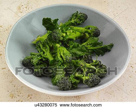 Purple sprouting broccoli cooked View Large Photo Image Stock Photography - Purple sprouting broccoli cooked. Fotosearch