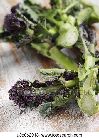 Purple sprouting broccoli View Large Photo Image Stock Photo - Purple sprouting broccoli. Fotosearch