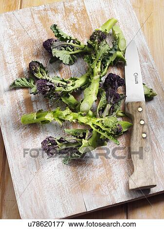 Purple sprouting broccoli View Large Photo Image Stock Photo - Purple sprouting broccoli. Fotosearch