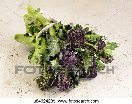 Stock Photography - Purple sprouting broccoli. Fotosearch