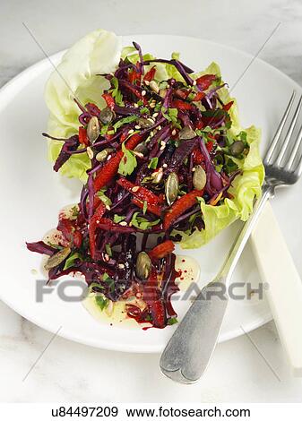 Stock Photo - Red cabbage beetroot capsicums pine nut and seeds salad. Fotosearch