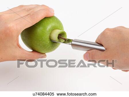 Stock Photography - Removing Core From Green Apple With Stainless Steel Corer. Fotosearch