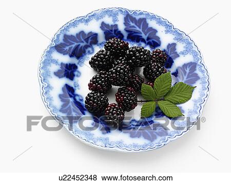 Ripe blackberries on an antique plate on a white background View Large Photo Image Stock Photo - Ripe blackberries on an antique plate on a white background. Fotosearch