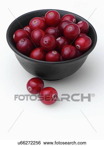 Ripe cranberries in a black bowl View Large Photo Image Stock Photograph - Ripe cranberries in a black bowl. Fotosearch