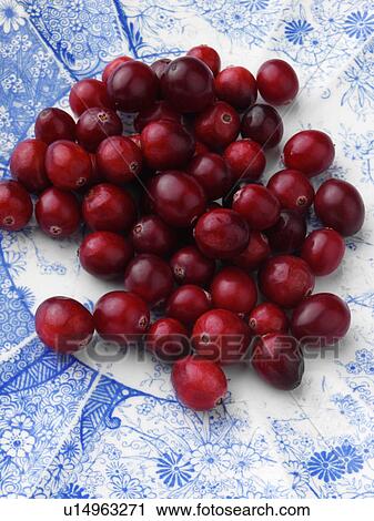Ripe cranberries on an antique plate on a white background View Large Photo Image Stock Image - Ripe cranberries on an antique plate on a white background. Fotosearch