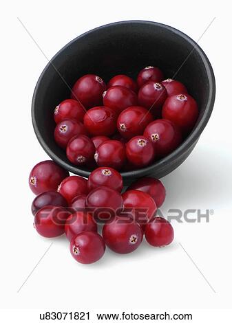Stock Image - Ripe cranberries. Fotosearch