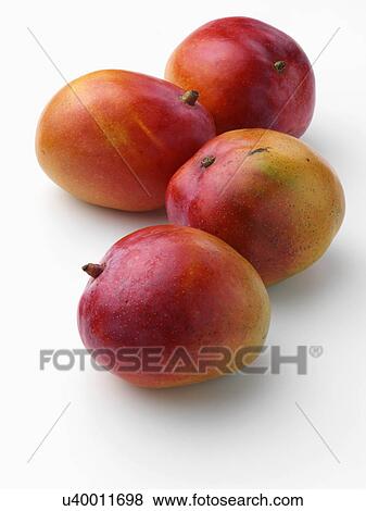Ripe Honey mangoes on a white background View Large Photo Image Stock Photo - Ripe Honey mangoes on a white background. Fotosearch