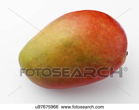 Ripe mango View Large Photo Image Stock Photograph - Ripe mango. Fotosearch