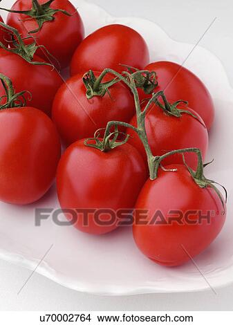 Ripe plum tomatoes in a white dish View Large Photo Image Picture - Ripe plum tomatoes in a white dish. Fotosearch