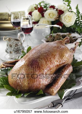 Roast goose View Large Photo Image Stock Photo - Roast goose. Fotosearch