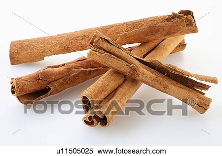 Rolls Of Caribbean Cinnamon Bark Sticks On White View Large Photo Image Stock Photography - Rolls Of Caribbean Cinnamon Bark Sticks On White. Fotosearch
