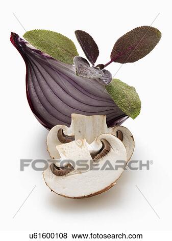 Sage onion mushroom on a white background View Large Photo Image Stock Photo - Sage onion mushroom on a white background. Fotosearch