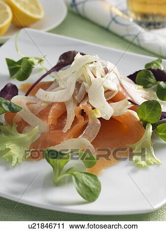 Salmon with fennel salad View Large Photo Image Stock Image - Salmon with fennel salad. Fotosearch