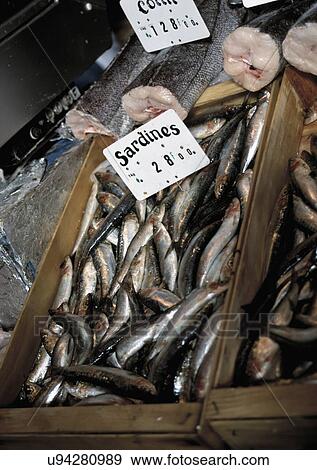 Sardines at local market, Versailles, France. View Large Photo Image Stock Photo - Sardines at local market, Versailles, France.. Fotosearch