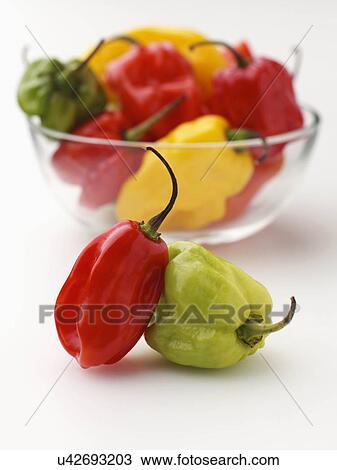 Scotch bonnet chilli peppers View Large Photo Image Stock Image - Scotch bonnet chilli peppers. Fotosearch